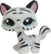 #1498 Destiny Cat