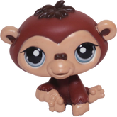 #1510 Chimpanzee