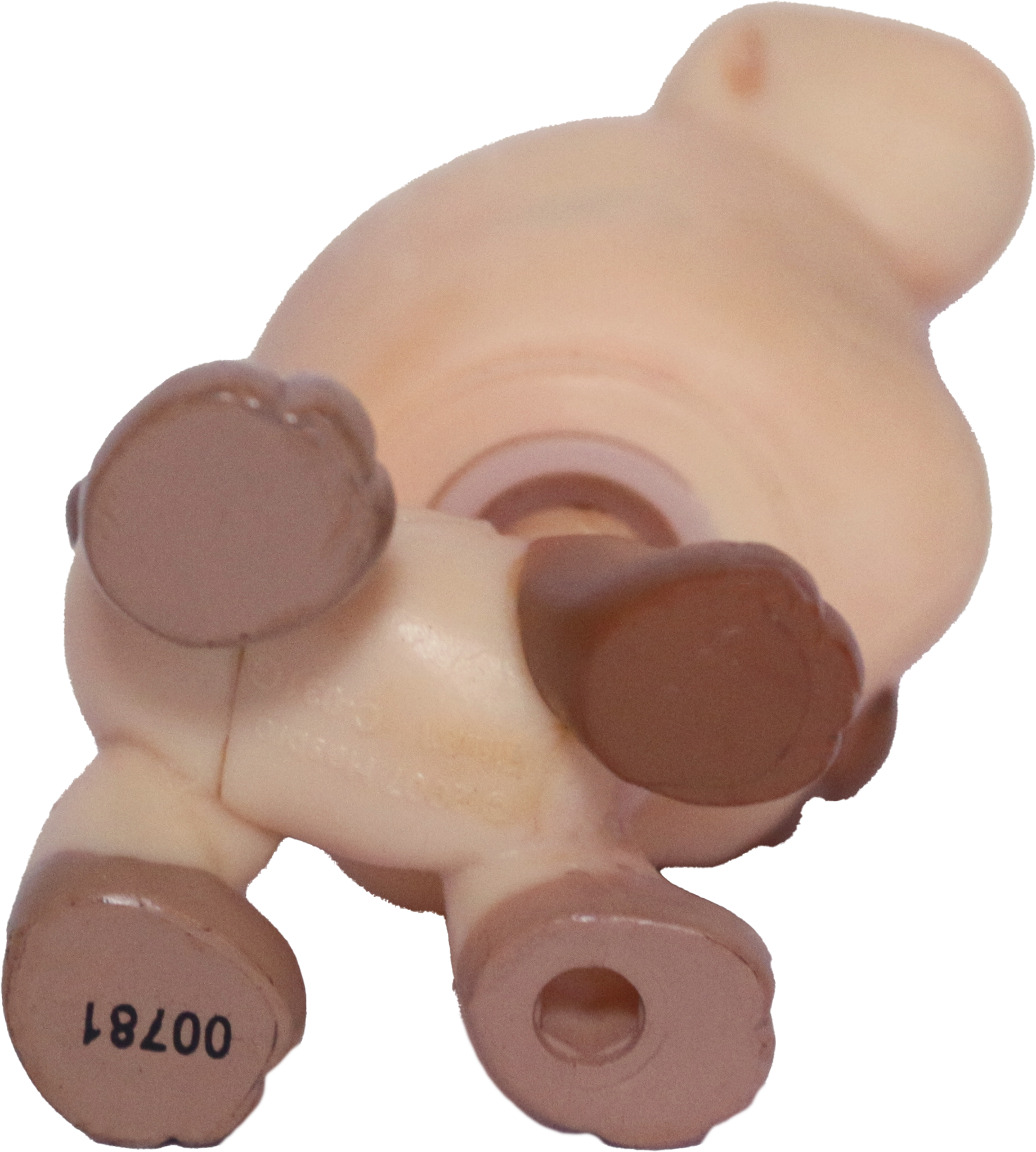 #1516 Boxer