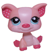 #1544 Pig