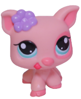 #1548 Pig