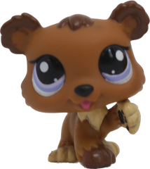 #1556 Bear
