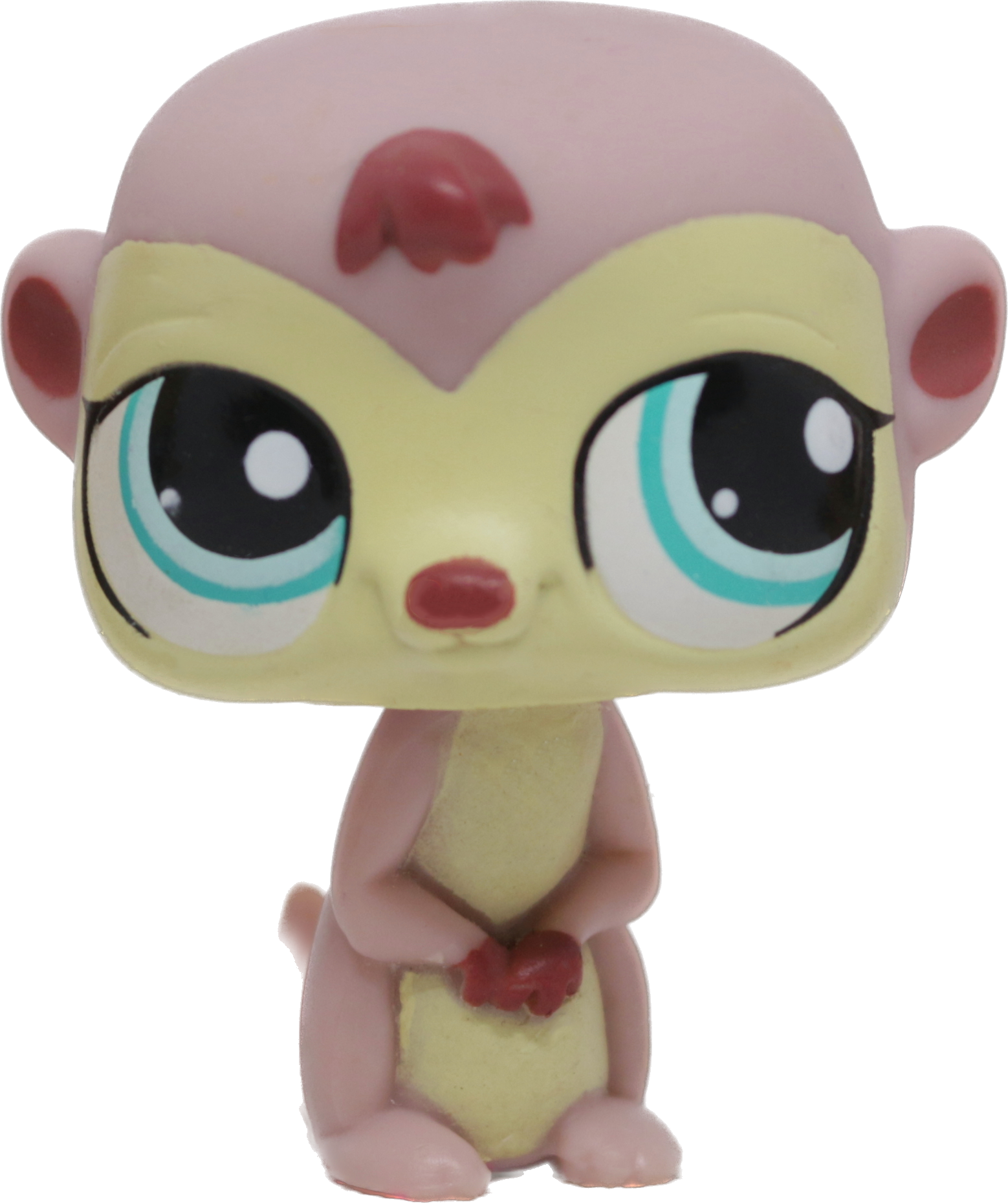 #1564 Meerkat