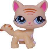 #1572 Destiny Cat