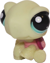 #1597 Turtle