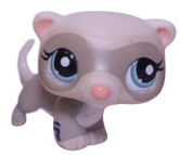 #1600 Ferret