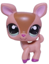 #1677 Deer