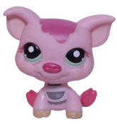 #1696 Pig