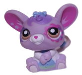 #1698 Rat
