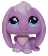 #1705 Lop Bunny