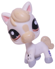 #1709 Horse