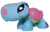#1735 Turtle