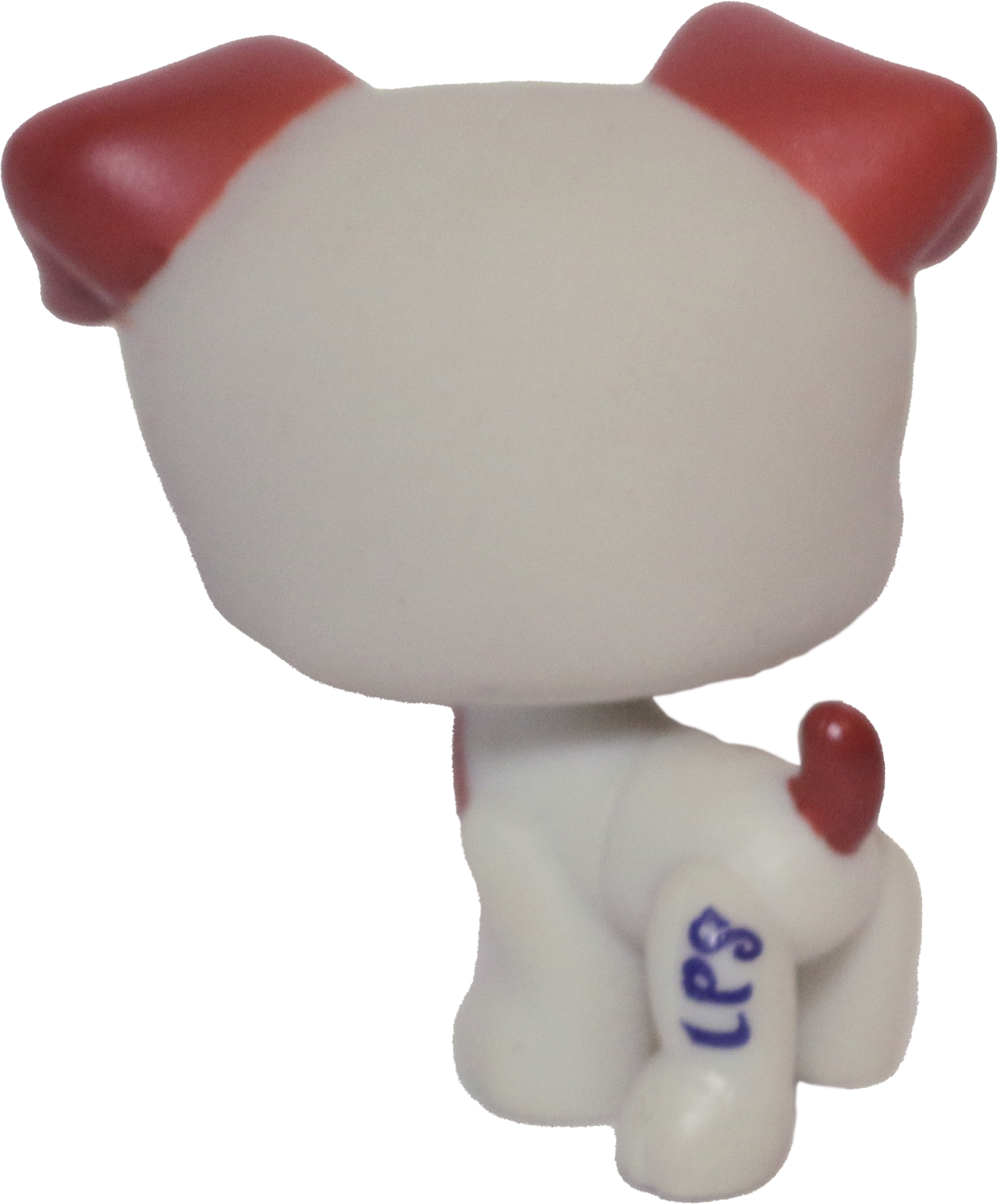 #1743 Jack Russell