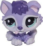 #1810 Husky Puppy