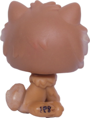 #1831 Chow Chow