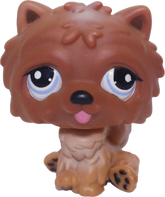 #1831 Chow Chow
