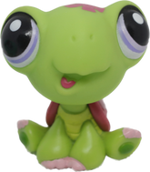 #1885 Turtle
