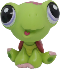 #1885 Turtle