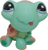 #1887 Turtle