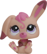 #1920 Baby Rabbit