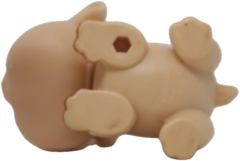 LPS #1932 Guinea Pig