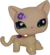 #1962 Shorthair Cat