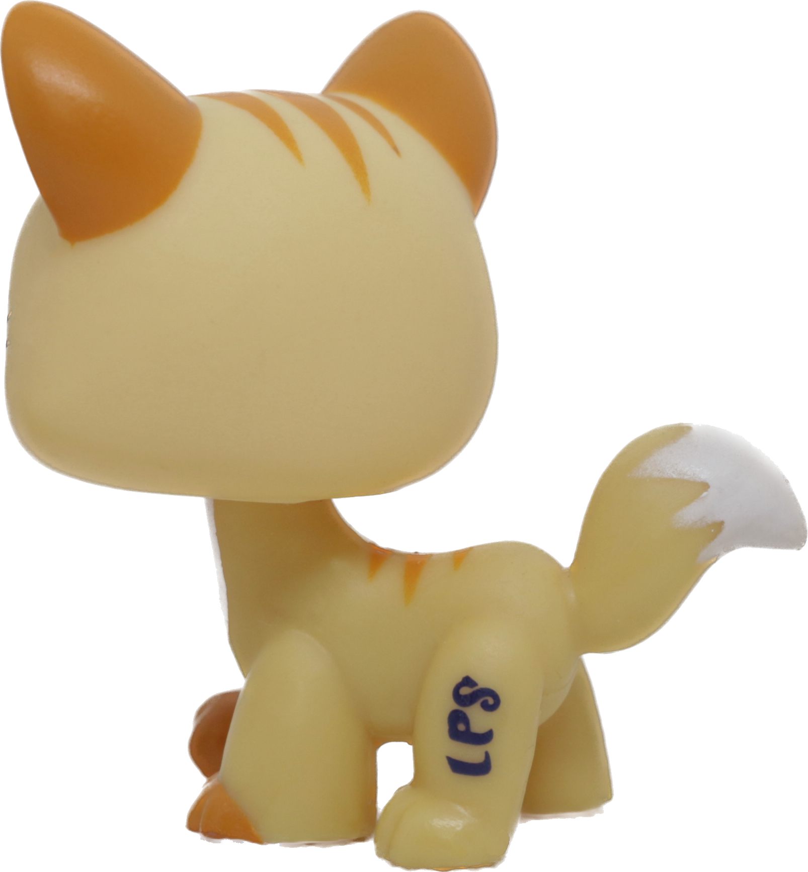 #2034 Destiny Cat