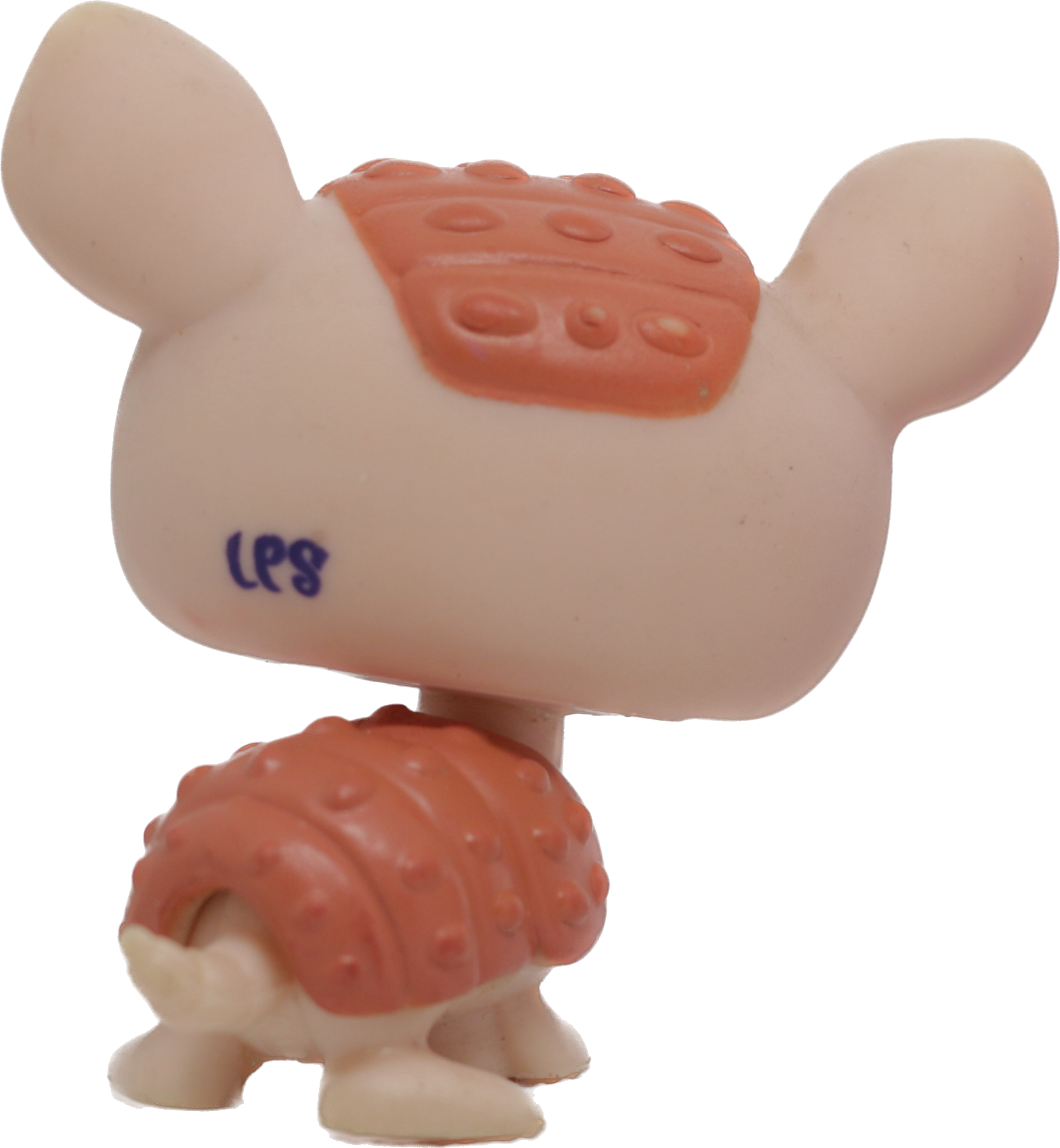 #2061 Armadillo