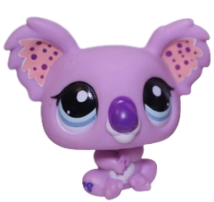 #2102 Koala