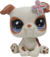 #2106 Bulldog