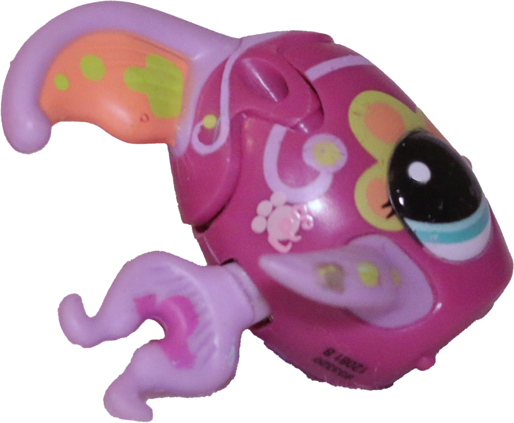 #2126 Angelfish
