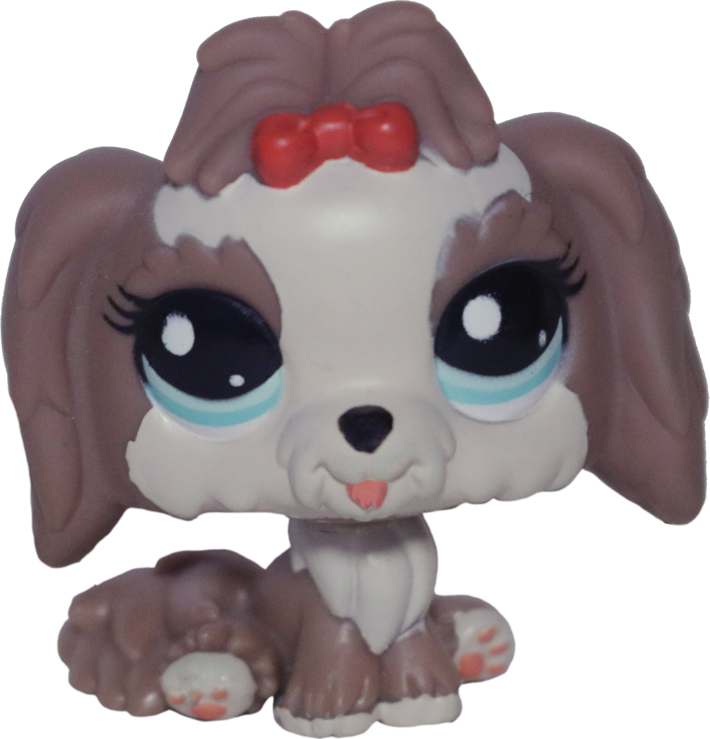 #2130 Lhasa Apso