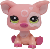 #2205 Pig