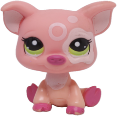#2205 Pig