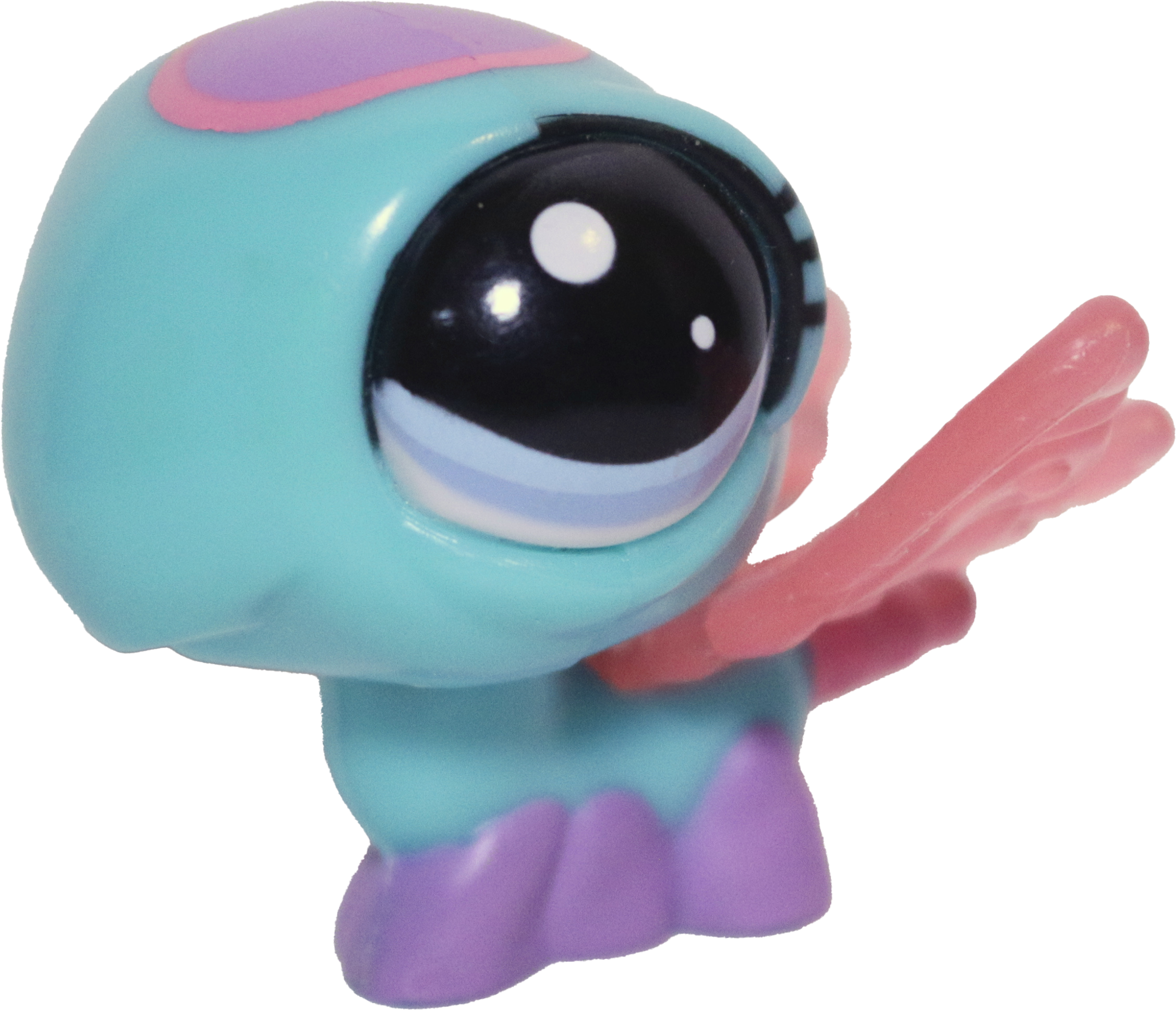 #2305 Dragonfly