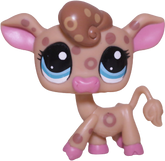 #2307 Cow