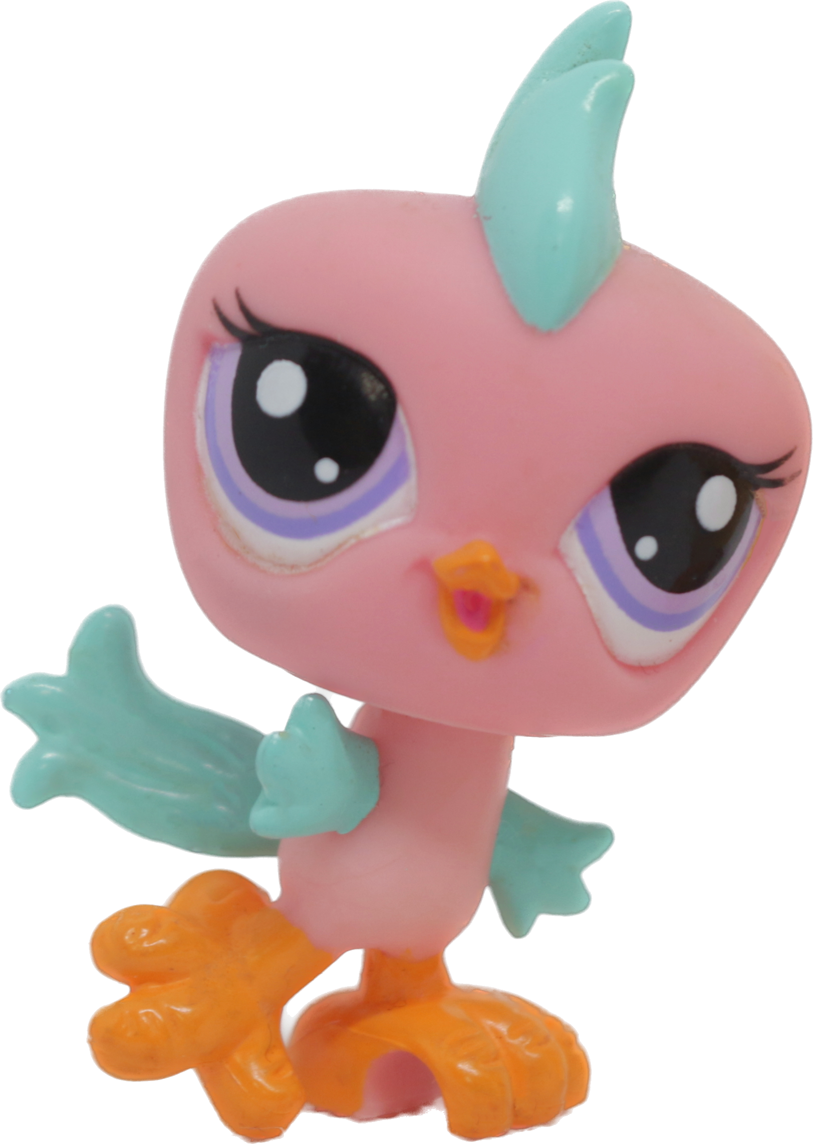 #2319 Parakeet