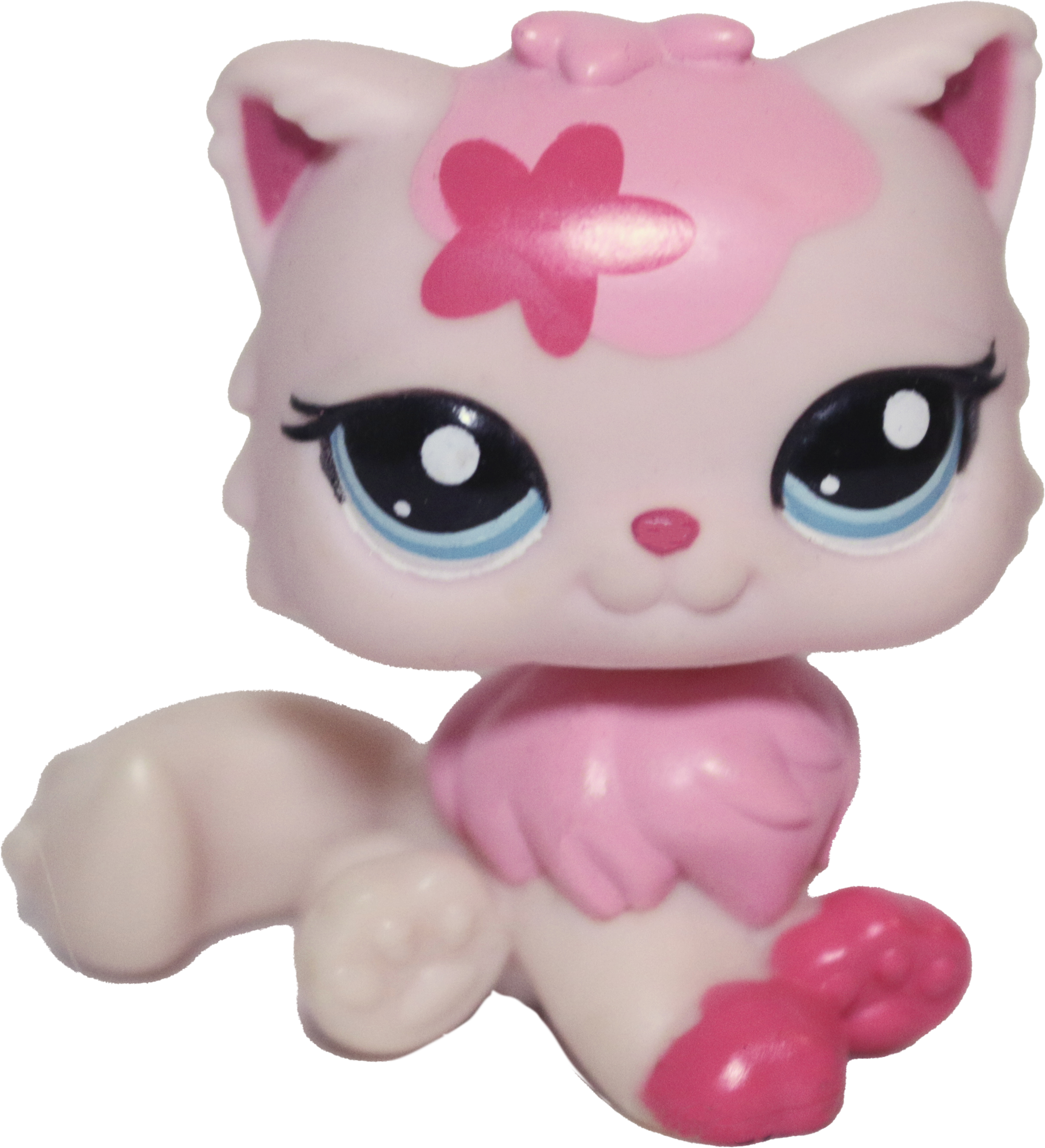 #2532 Persian Cat