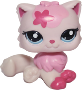 #2532 Persian Cat