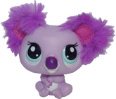 #2578 Koala