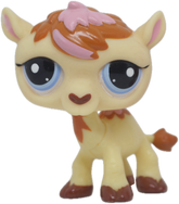 #2579 Camel