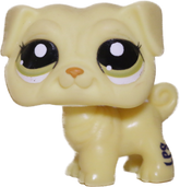 #2589 Pug (Variant)