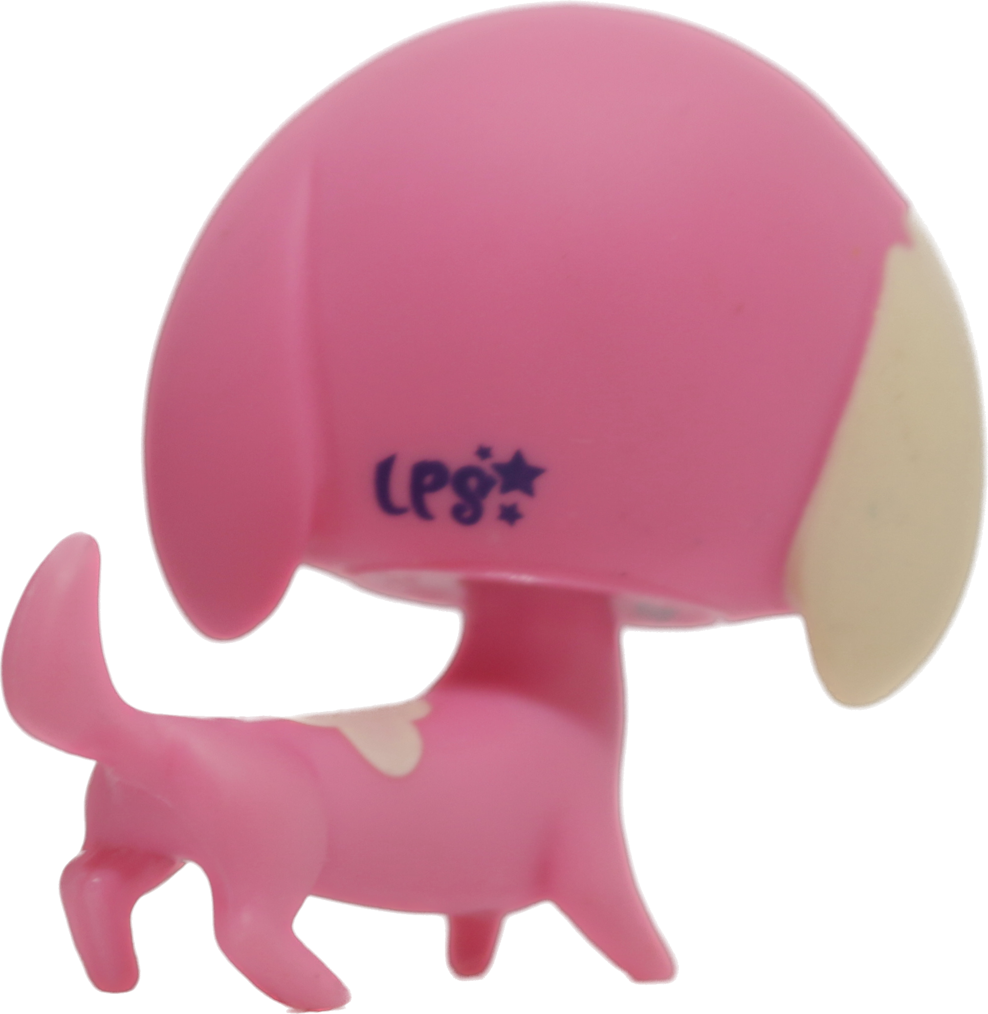 #2735 Dachshund