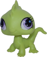 #2781 Iguana