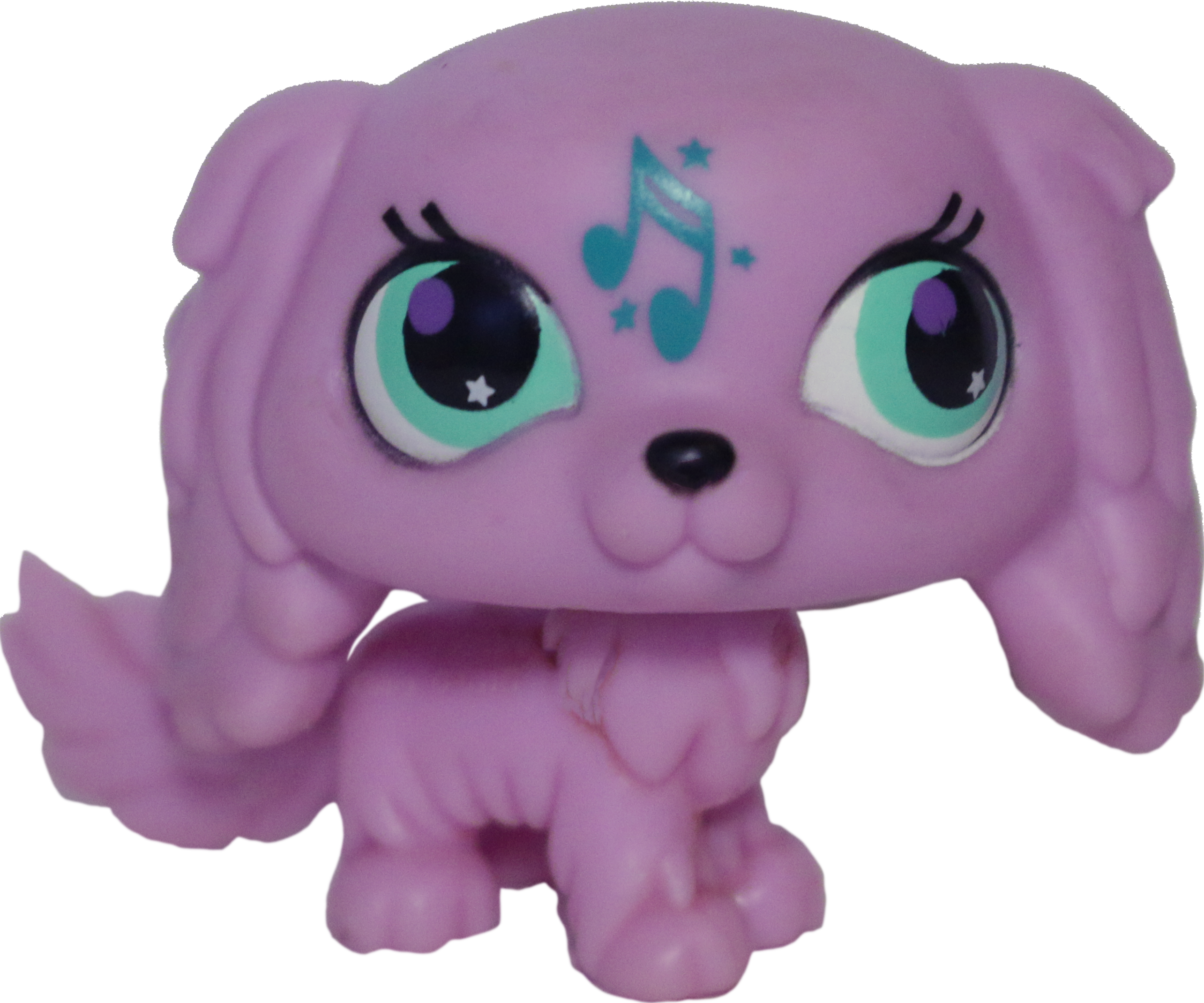 #2880 King Charles Spaniel