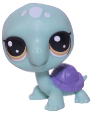 #2-52 Turtle "Tim Turtles"