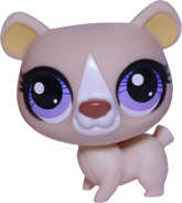 #3294 Bear