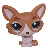 #3567 Corgi