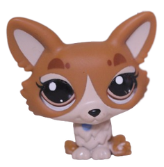 #3567 Corgi