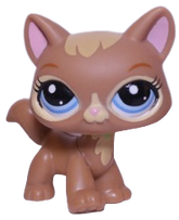 #3578 Destiny Cat